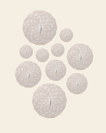 Suction Lid Set